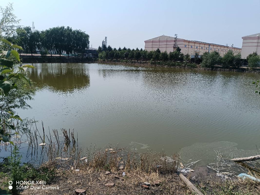 内蒙古自治区通辽市开鲁县东来镇兴蒙村一处约11311.48平方米土地及地上构筑物整体出租（年租金46500元，租期4年）(国资监测编号GR2025NM1004498)
