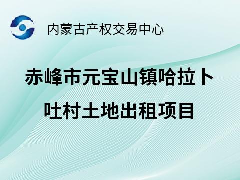 赤峰市元宝山镇哈拉卜吐村6859.62㎡土地公开出租（租期6个月，租金底价50000元/6个月）