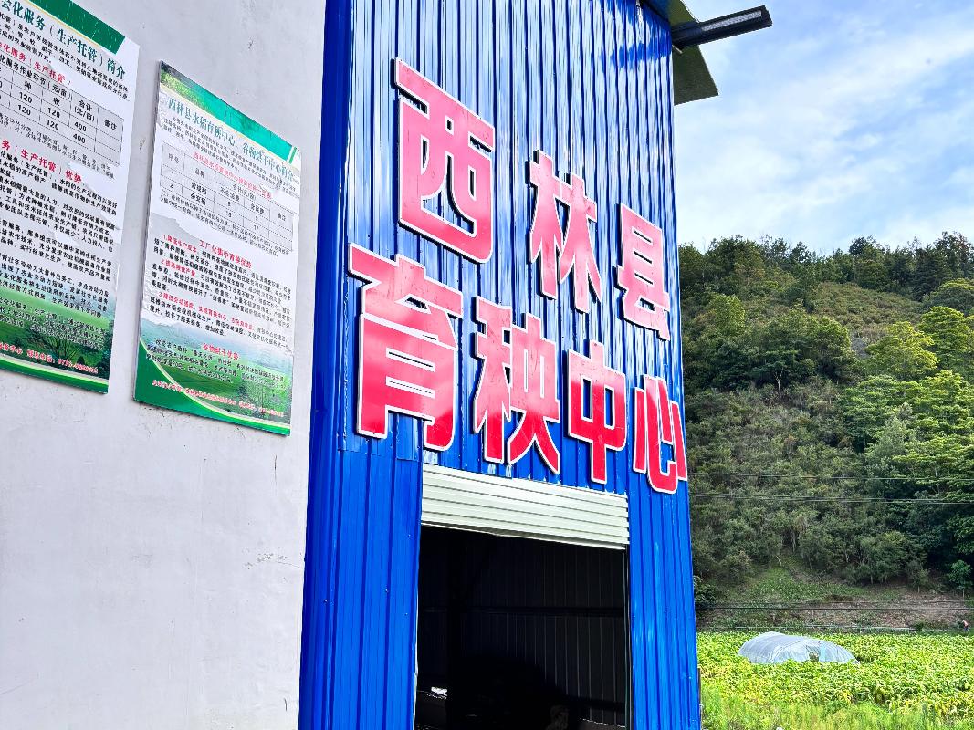 百色市西林县足别瑶族苗族乡足别村育秧中心、谷物烘干中心设施设备整体招租项目