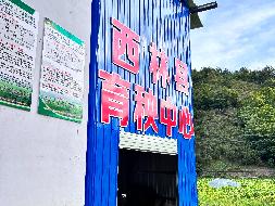 百色市西林县足别瑶族苗族乡足别村育秧中心、谷物烘干中心设施设备整体招租项目