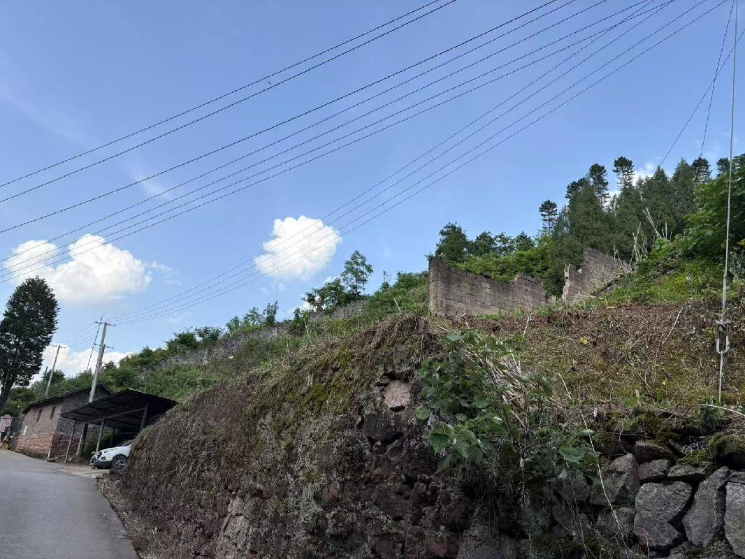 【中石化张家界分公司】桑植县澧源镇和平路居委会八斗溪组一处土地使用权(三次挂牌)(国资监测编号GR2025HN1001214-3)