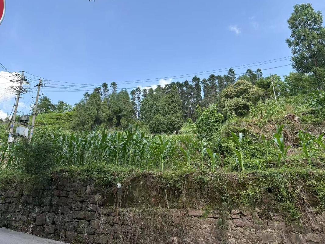 【中石化张家界分公司】桑植县澧源镇和平路居委会八斗溪组一处土地使用权(三次挂牌)
