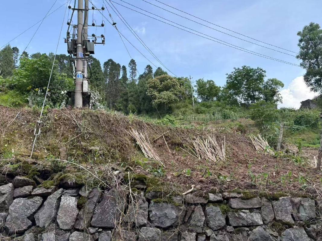 【中石化张家界分公司】桑植县澧源镇和平路居委会八斗溪组一处土地使用权(三次挂牌)(国资监测编号GR2025HN1001214-3)