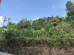 【中石化张家界分公司】桑植县澧源镇和平路居委会八斗溪组一处土地使用权(三次挂牌)(国资监测编号GR2025HN1001214-3)