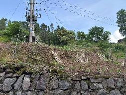 【中石化张家界分公司】桑植县澧源镇和平路居委会八斗溪组一处土地使用权(三次挂牌)(国资监测编号GR2025HN1001214-3)