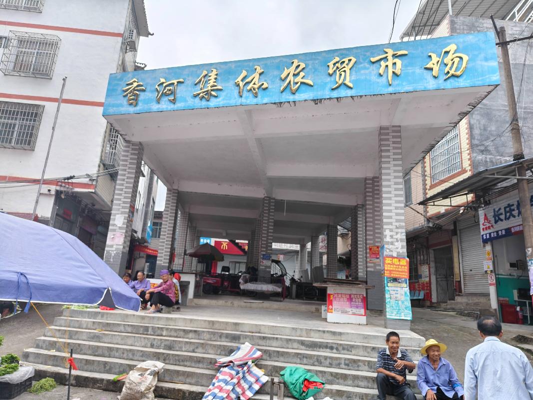 河池市东兰县隘洞镇香河村委会香河村约240平方米菜市场