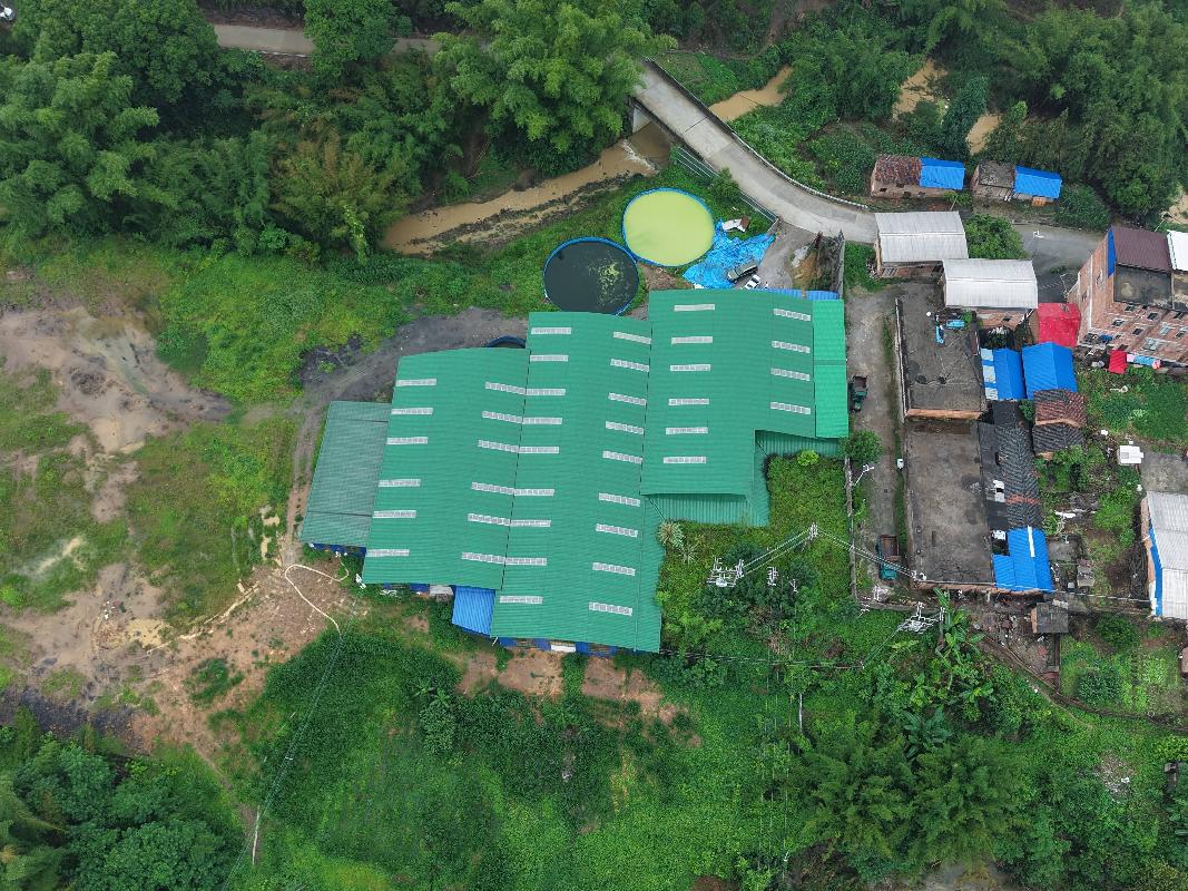 河池市环江毛南族自治县洛阳镇江口村约15亩陆基养鱼基地