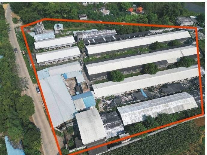 [贵港市]贵港市覃塘区覃塘街道黄鹤村约15.05亩土地经营权流转项目