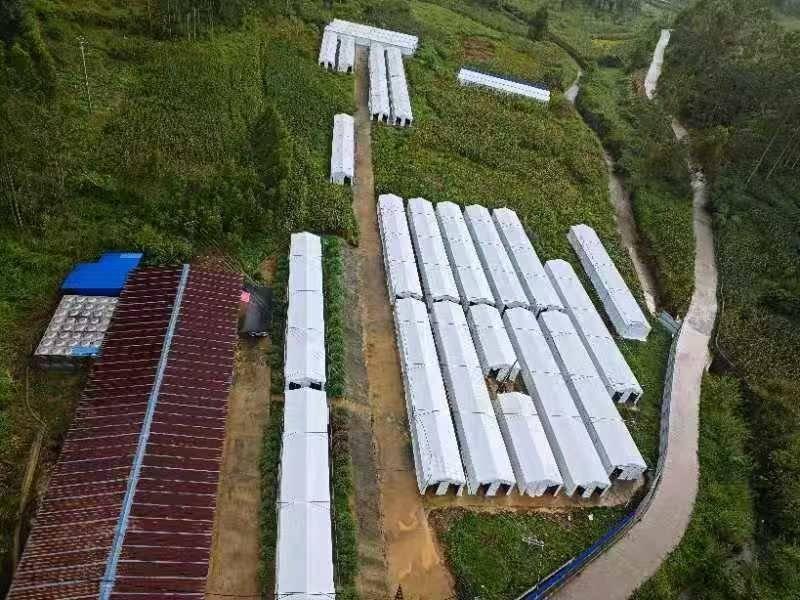 河池市巴马瑶族自治县甲篆镇兴仁村坡漂12.5亩食用菌产业基地