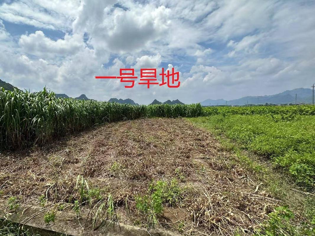 [贵港市]贵港市覃塘区黄练镇岭岑村2块地土地（5-6亩）经营权流转项目