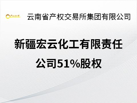 新疆宏云化工有限责任公司51%股权