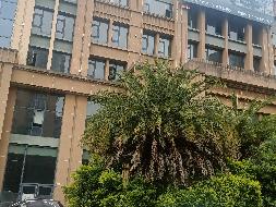 丽江市华坪县中和花园综合性办公楼部分房屋及车位租赁