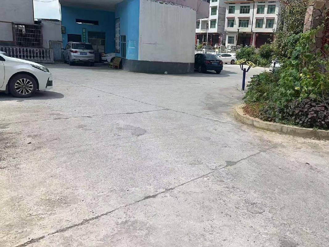 武冈市龙溪铺加油站土地(三次挂牌）