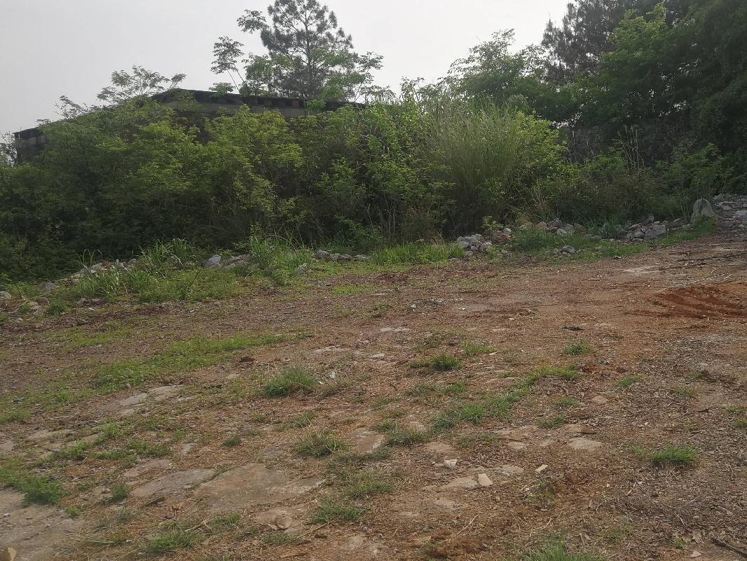 【中石化湖南永州石油分公司】江华县白芒营镇一处土地与房屋使用权(国资监测编号GR2025HN1001315)