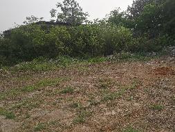 【中石化湖南永州石油分公司】江华县白芒营镇一处土地与房屋使用权(国资监测编号GR2025HN1001315)