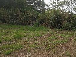 【中石化湖南永州石油分公司】江华县白芒营镇一处土地与房屋使用权(国资监测编号GR2025HN1001315)