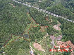 柳州市鹿寨县江口乡六合村长洞屯约41亩土地（承包）经营权流转项目