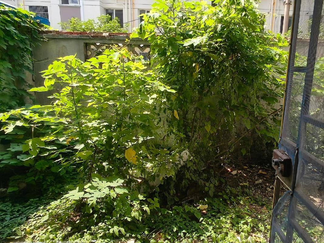 天华化工机械及自动化研究设计院有限公司位于江苏省苏州市吴中区苏苑新村4套住宅转让公告