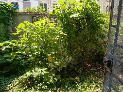 天华化工机械及自动化研究设计院有限公司位于江苏省苏州市吴中区苏苑新村4套住宅转让公告