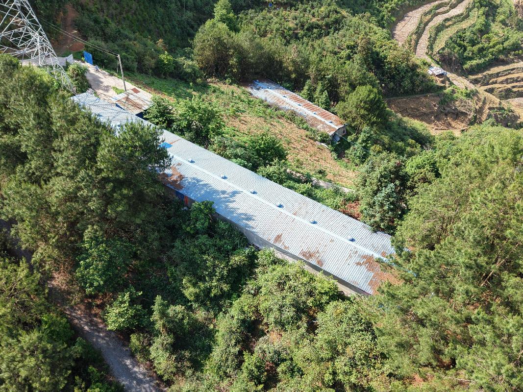 河池市东兰县隘洞镇香河村委会纳林屯乾纳菜约500平方米乌鸡养殖场B
