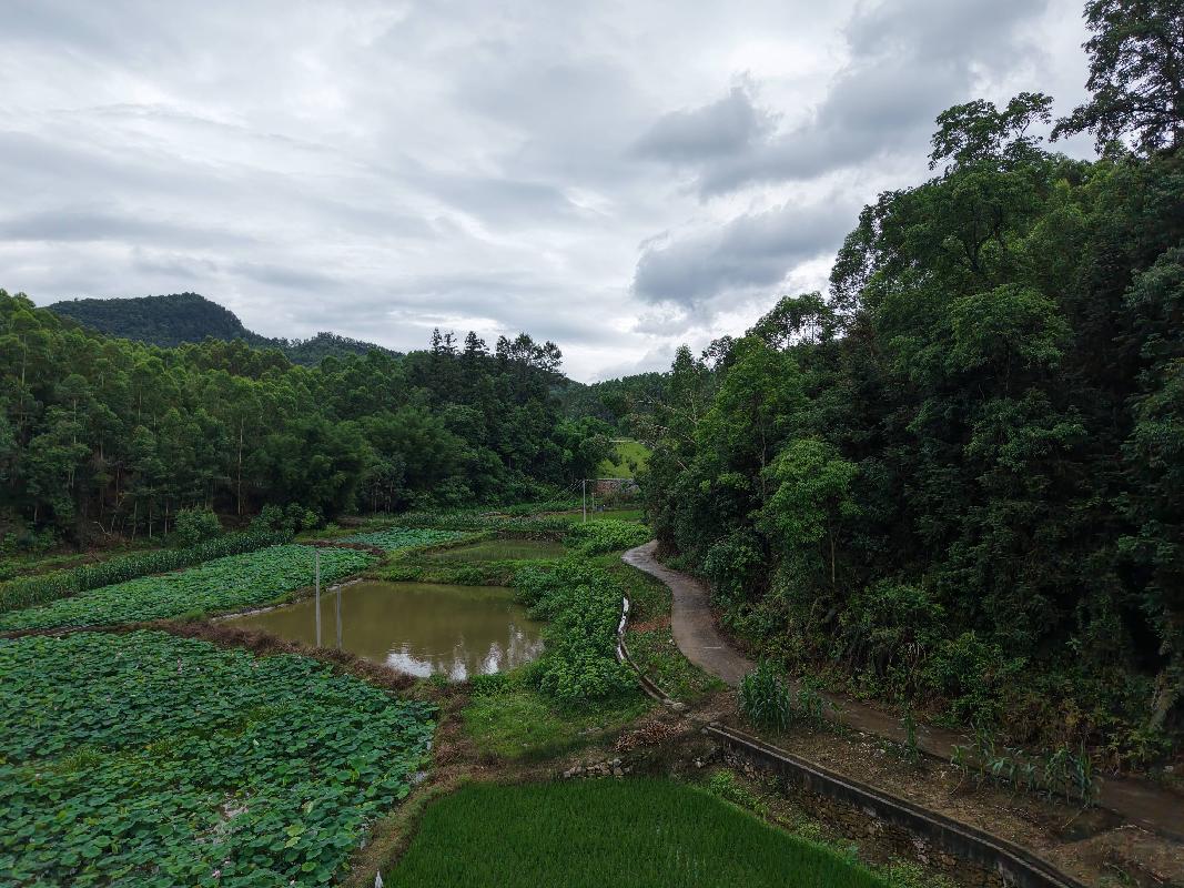 河池市环江毛南族自治县洛阳镇永权村才腊屯约35.24亩土地经营权流转项目
