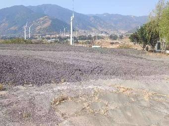 攀西高速沥青铣刨料（德昌县麻栗临 时停车区)转让公告