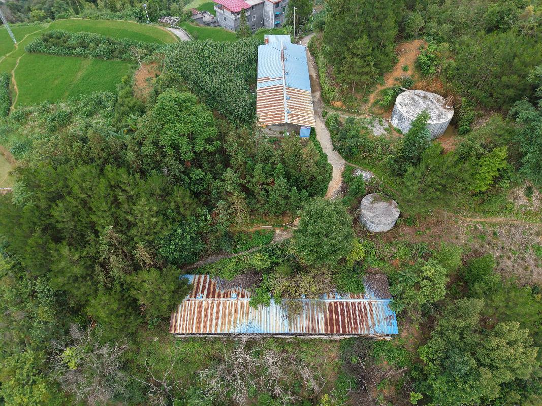河池市东兰县隘洞镇香河村委会上色屯边坡约500平方米乌鸡养殖场B