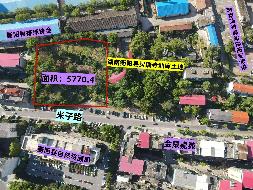 【中石化衡阳分公司】衡阳市衡阳县西渡镇米子村 （衡阳县湘运加油站）一处国有建设用地使用权（三次挂牌）(国资监测编号GR2025HN1003195)