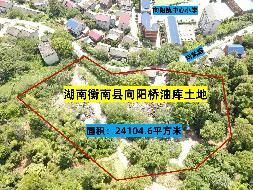 【中石化衡阳分公司】衡阳市衡南县向阳镇（衡阳衡南向阳桥油库）一处国有建设用地使用权（三次挂牌）(国资监测编号GR2025HN1003196)