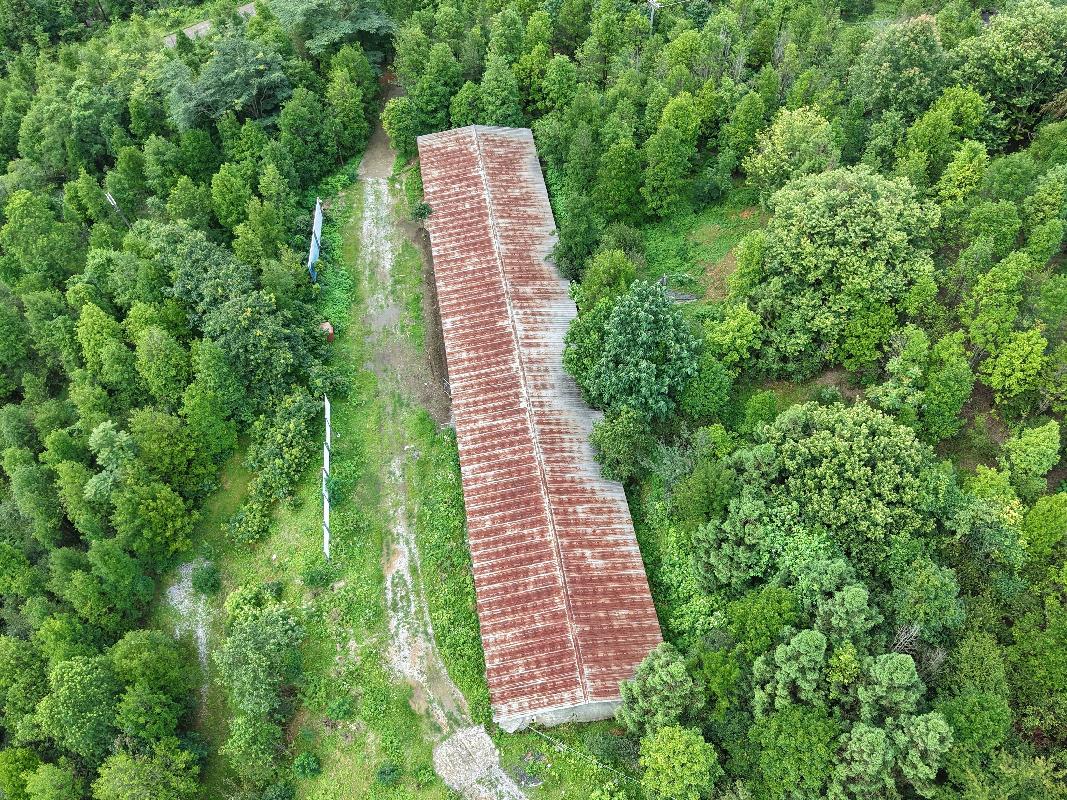 河池市凤山县乔音乡同乐村那弄屯林下养殖小区约 2000平方米鸡舍招租项目