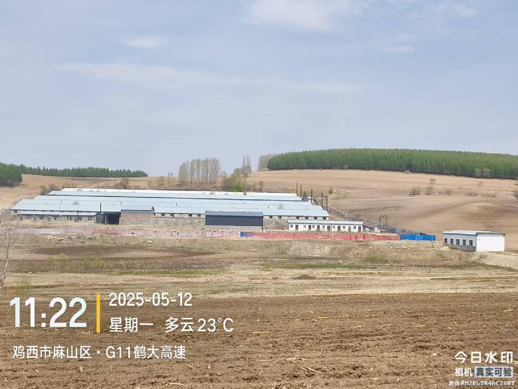 鸡西市麻山区土顶子村养猪场整体转让交易公告