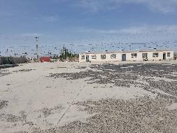 和田七台河实业有限责任公司租赁位于和田地区策勒县工业集中区工艺品加工厂以南厂房(国资监测编号GR2025XJ1000757)