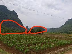 桂林荔浦市龙怀乡东坪村约306.45亩土地经营权流转项目