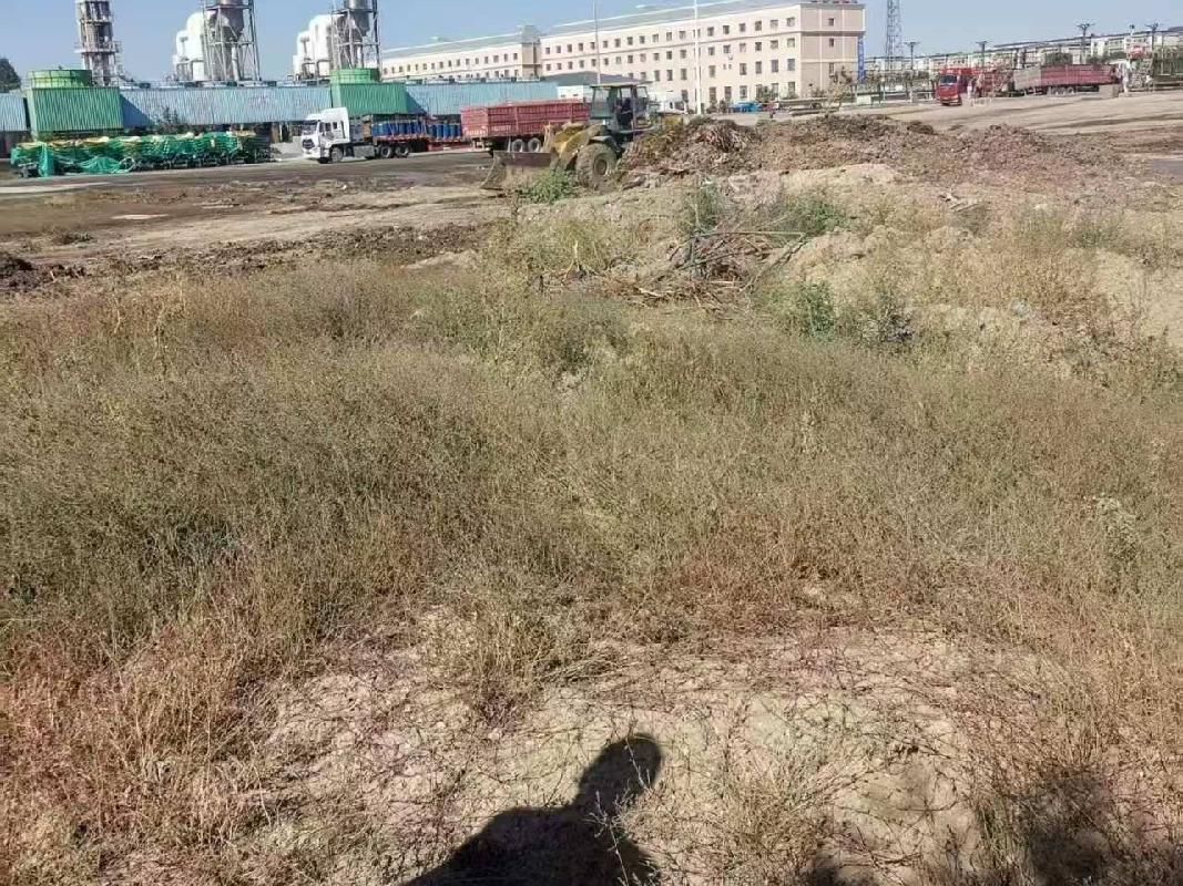 [塔城地区]新疆鸿翔番茄制品有限责任公司转让位于第九师163团巴克图工业园区一宗工业用地使用权