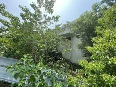 淮安工业园区原嘉立化工红线范围以内部分建筑物、构筑物及附属设施拆除工程转让公告