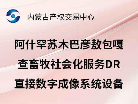 翁牛特旗阿什罕苏木巴彦敖包嘎查委员会畜牧社会化服务购置的DR直接数字成像系统设备使用权出租（年租金底价14100.00元，租期5年）