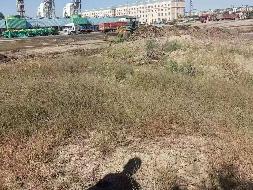 新疆鸿翔番茄制品有限责任公司转让位于第九师163团巴克图工业园区一宗工业用地使用权(国资监测编号GR2025XJ1000768)