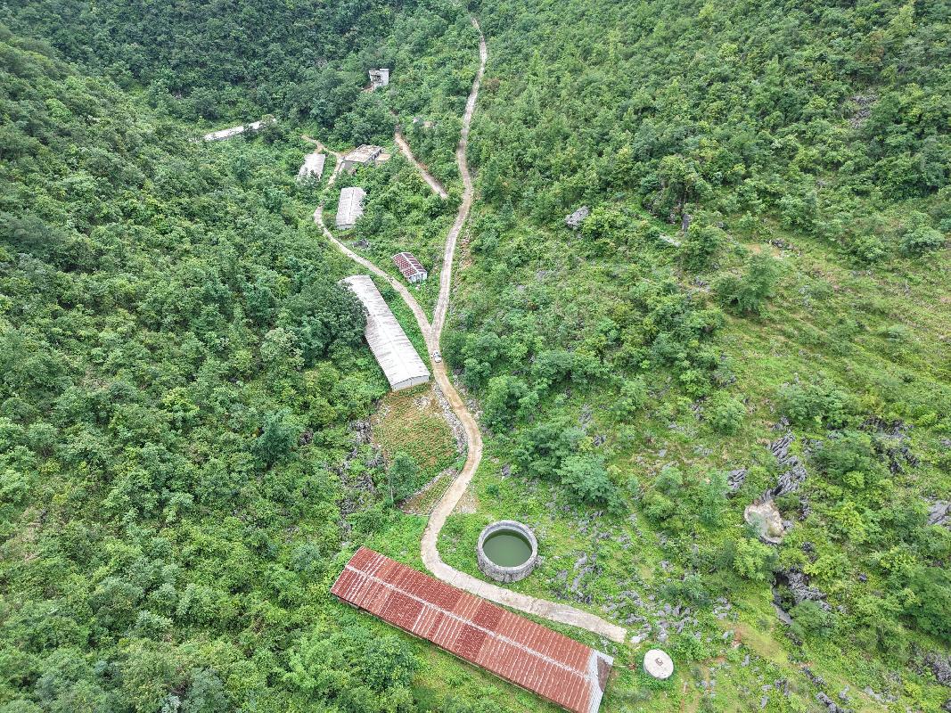 [河池市]河池市凤山县乔音乡久隆村弄汪屯林下养殖小区约2350平方米鸡舍招租项目
