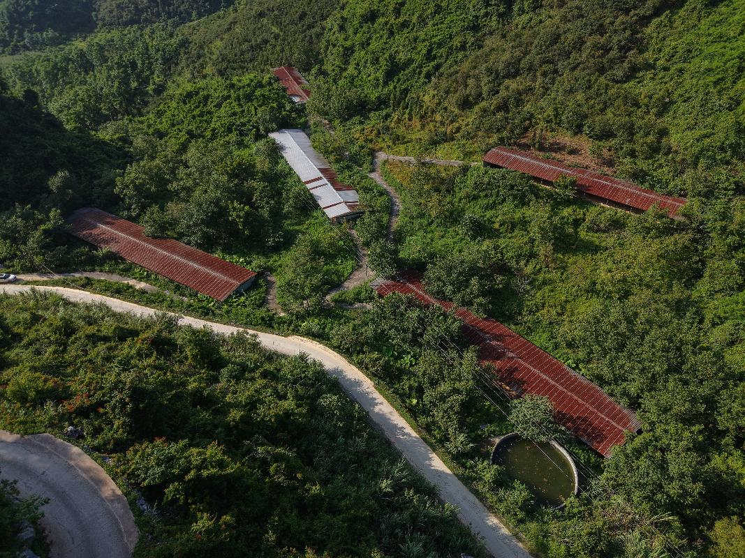 [河池市]河池市凤山县乔音乡老里村老里屯林下养殖小区约2500平方米鸡舍招租项目