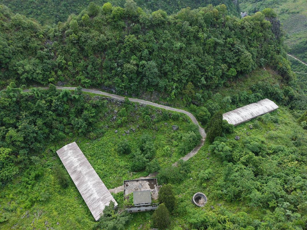 [河池市]河池市凤山县乔音乡龙相村可荣屯林下养殖小区约3500平方米鸡舍招租项目