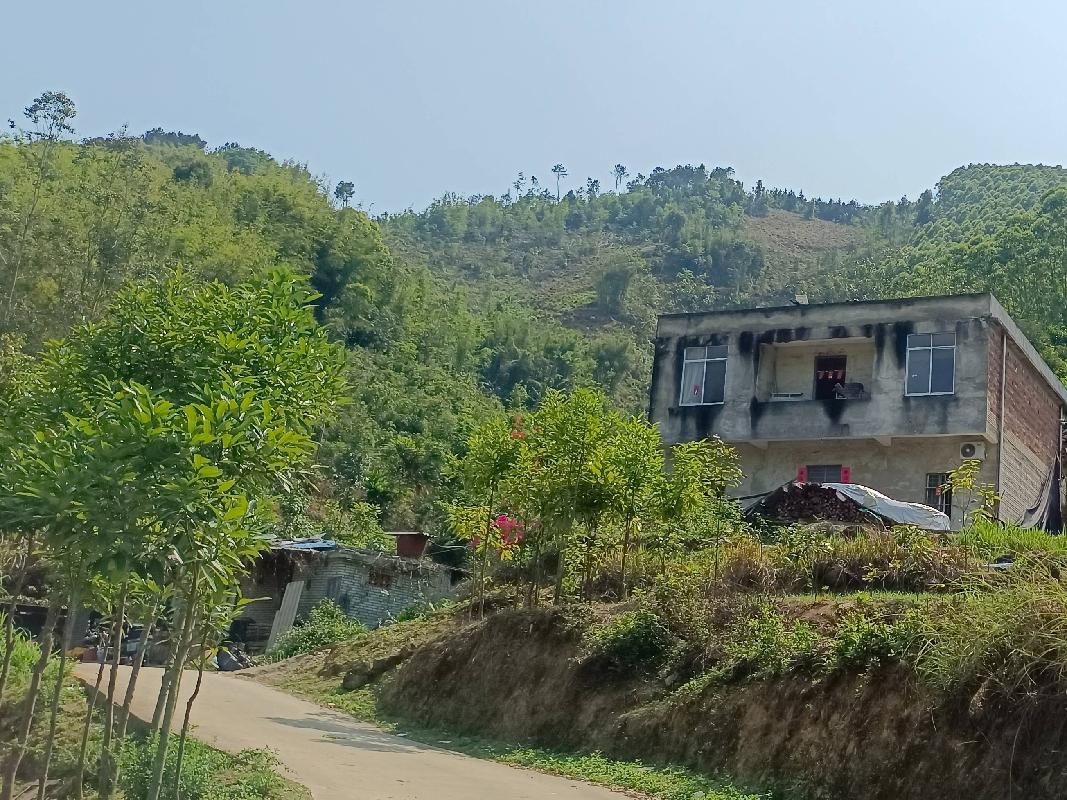 岑溪市波塘镇容坡村集体山庄约98.8亩林地（小地名：塘径化）经营权招租项目