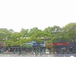 株洲市芦淞区株董路1048号商业网点楼(国资监测编号GR2025HN1001552)
