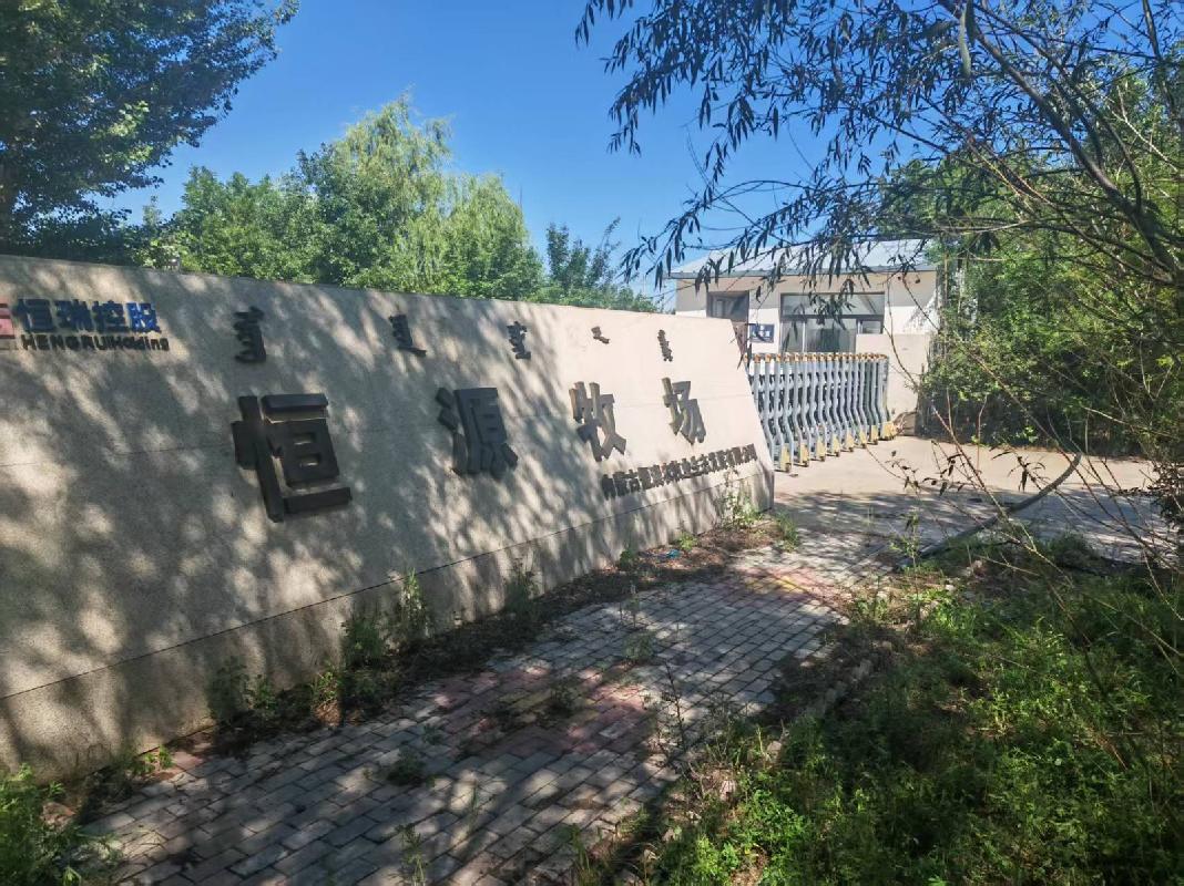 内蒙古自治区通辽市开鲁县东风镇金宝屯村南2.5公里处700亩土地、地上构筑物、房屋、机械设备整体出租（年租金1024600元，租期3年）(国资监测编号GR2025NM1005484)