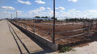 内蒙古自治区通辽市开鲁县东风镇金宝屯村南2.5公里处700亩土地、地上构筑物、房屋、机械设备整体出租（年租金1024600元，租期3年）(国资监测编号GR2025NM1005484)