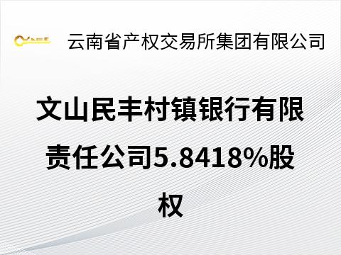 文山民丰村镇银行有限责任公司5.8418%股权(国资监测编号G32025YN1000037)