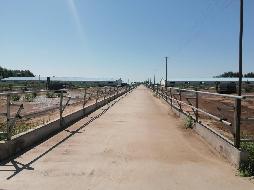 内蒙古自治区通辽市开鲁县东风镇金宝屯村南2.5公里处700亩土地、地上构筑物、房屋、机械设备整体出租（年租金1024600元，租期3年）(国资监测编号GR2025NM1005484)
