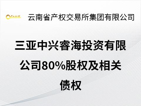 三亚中兴睿海投资有限公司80%股权及相关债权(国资监测编号G32025YN1000019)