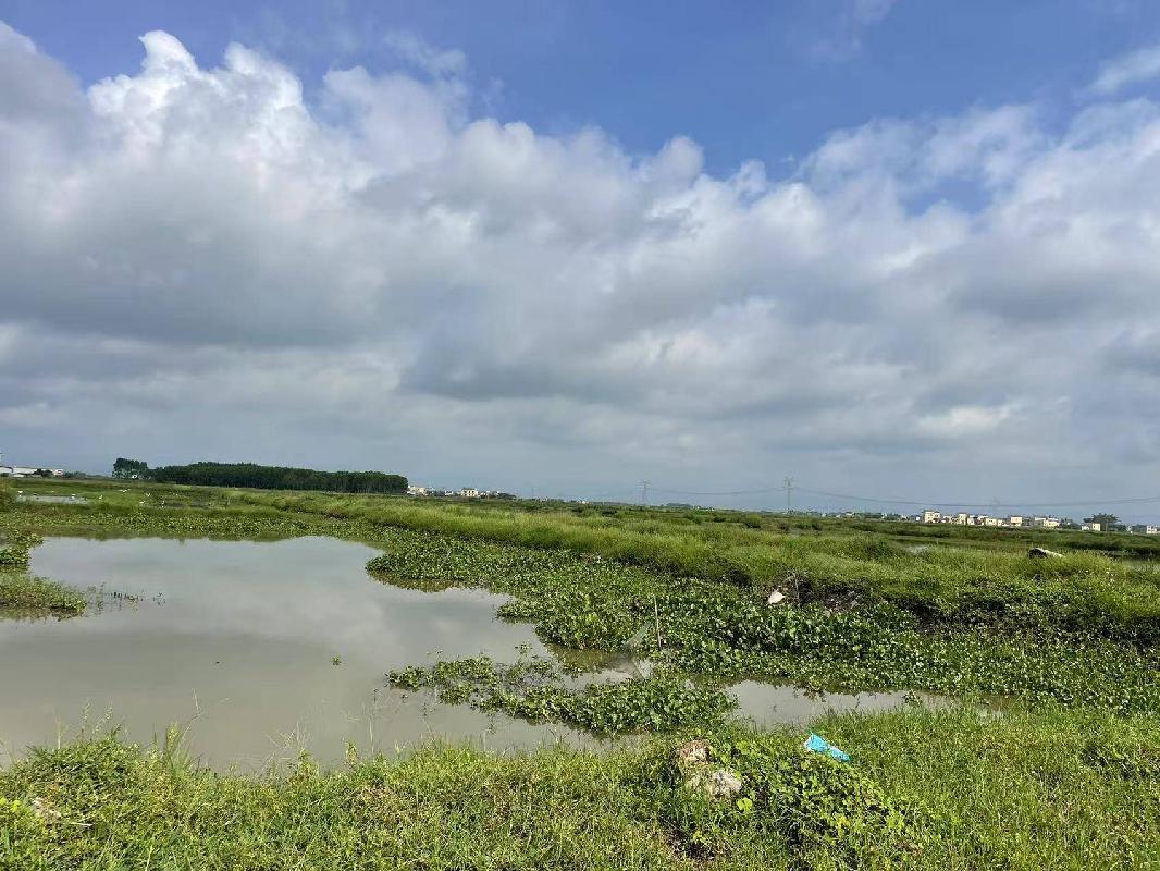 桂平市厚禄乡厚禄社区1500亩土地（承包）经营权流转项目