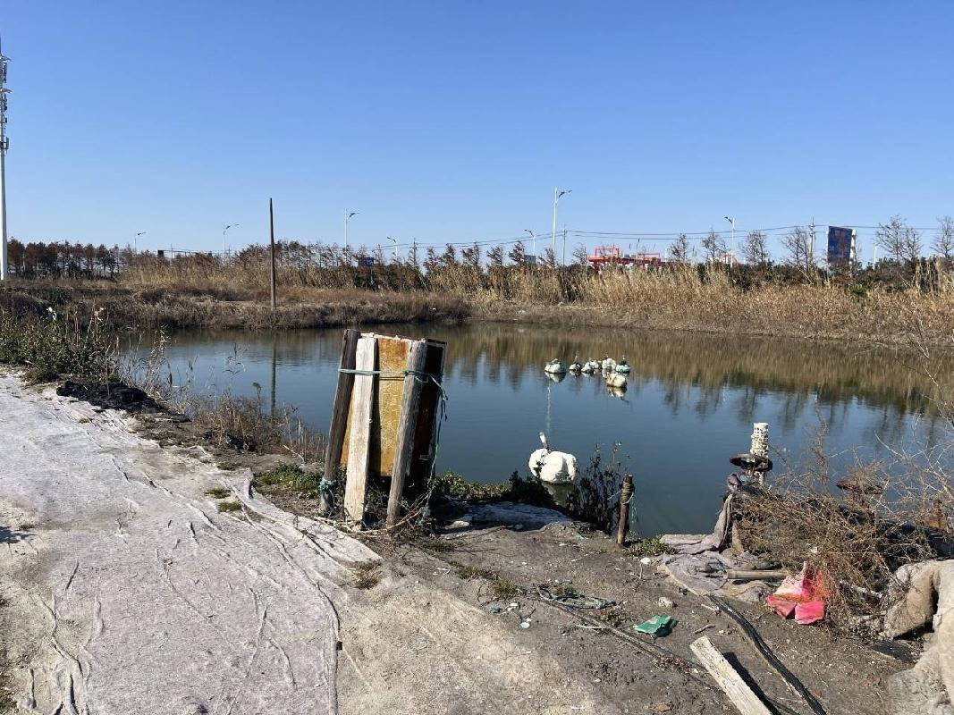 江苏省海洋水产研究所位于江苏省启东市吕四港镇二道堤水泥场地、储水池、鱼塘的公开招租