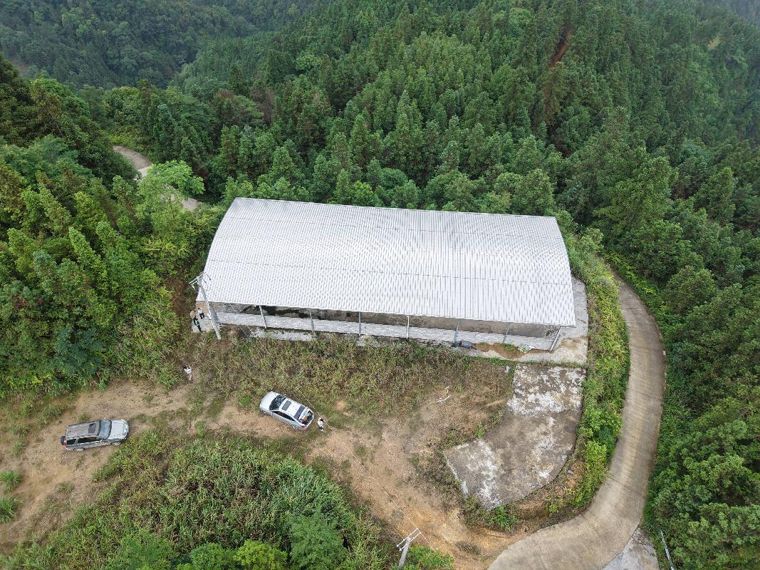 [河池市]河池市环江毛南族自治县东兴镇达兴村约10亩养殖基地招租项目
